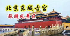 在性生活可以舔女人得bi中国北京-东城古宫旅游风景区